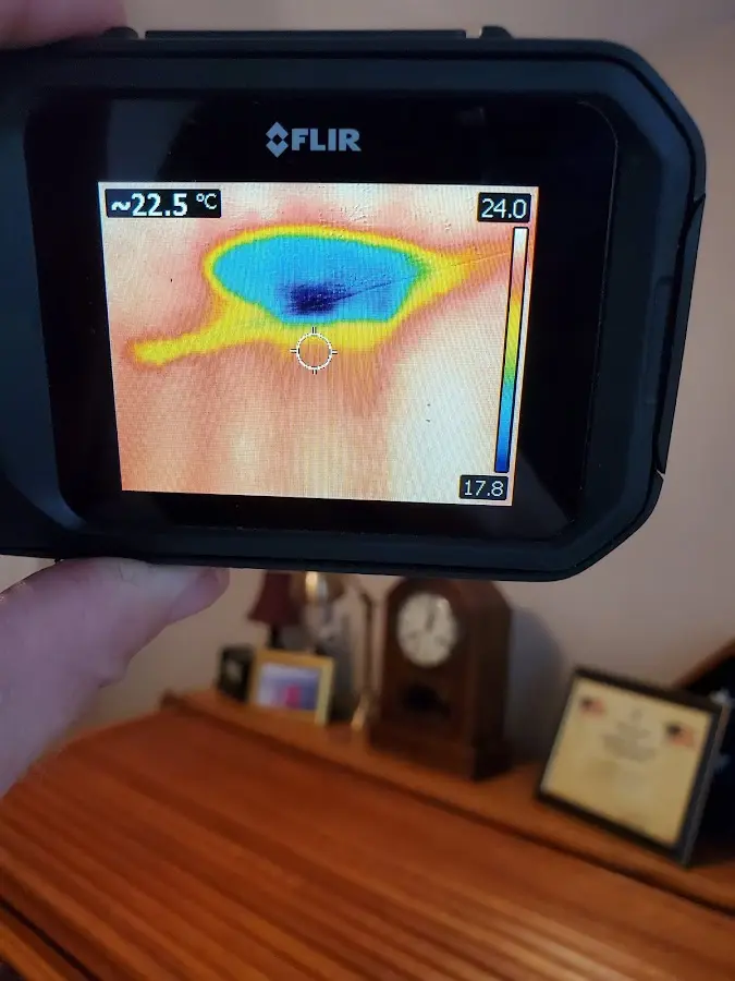 Thermal imaging inspection for water damage in Berea